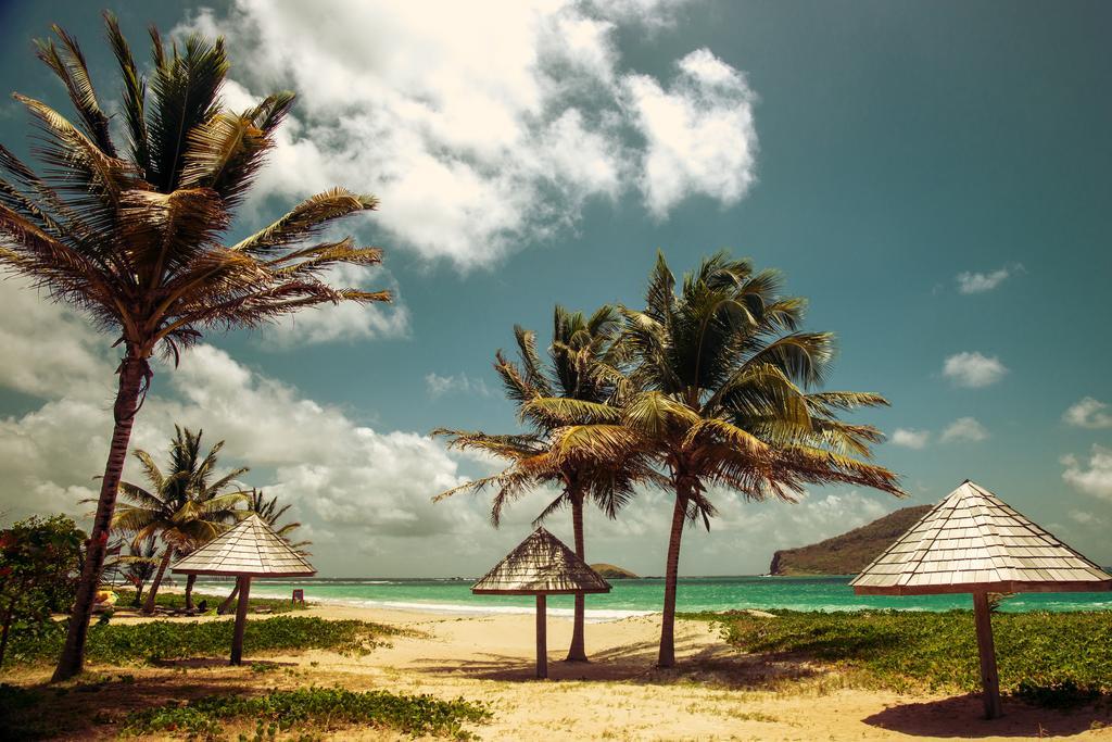 Villa Caribbean Dream Vieux Fort Exterior photo
