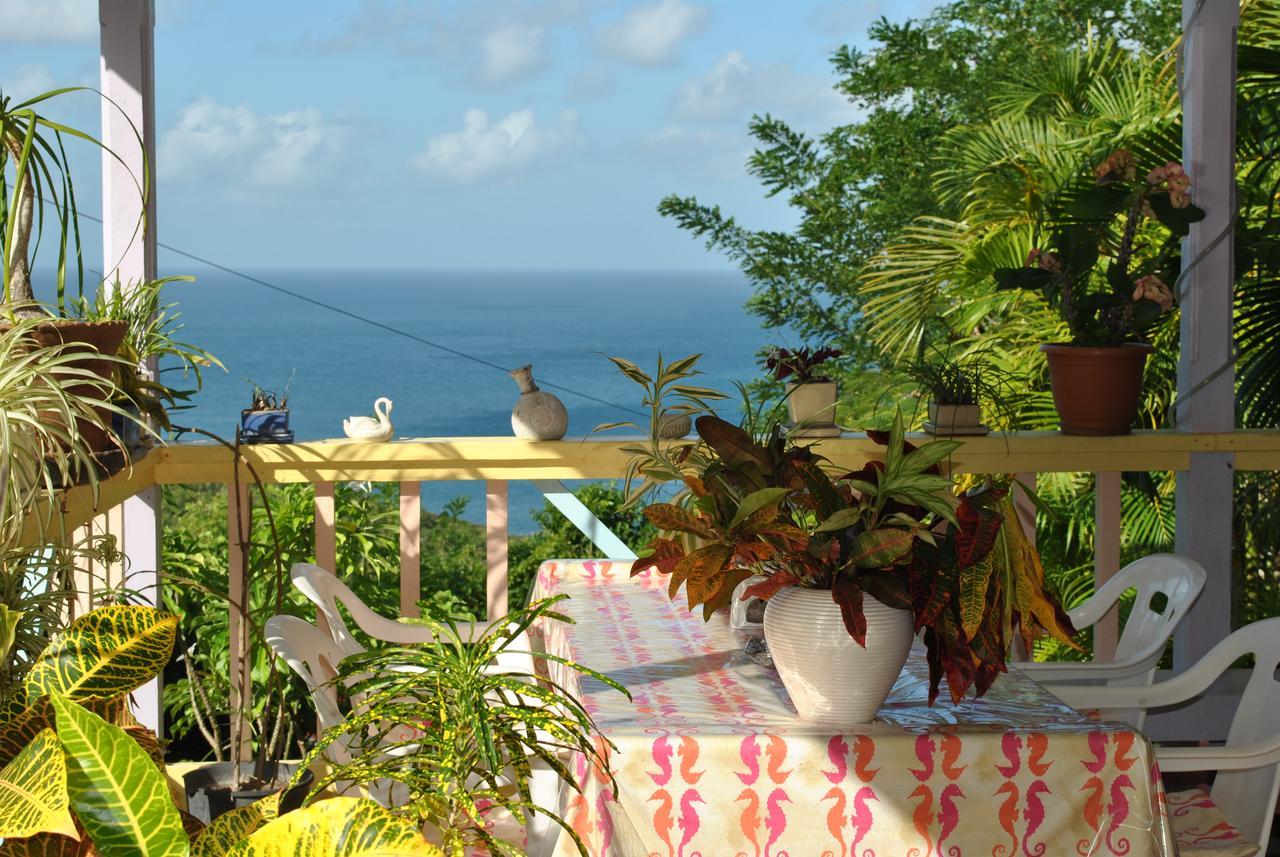 Villa Caribbean Dream Vieux Fort Exterior photo