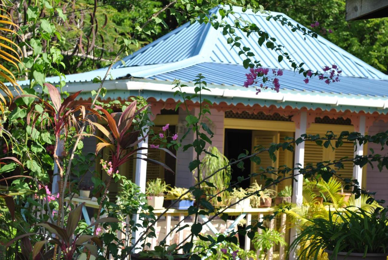 Villa Caribbean Dream Vieux Fort Exterior photo